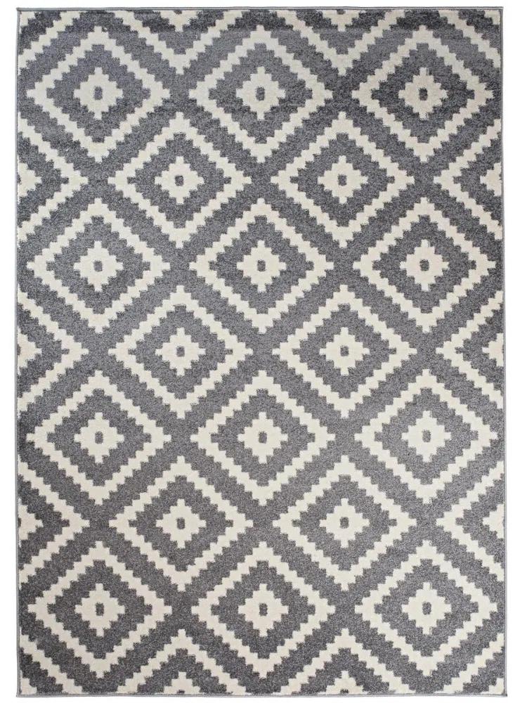 Kusový koberec Remund šedý 160x220cm
