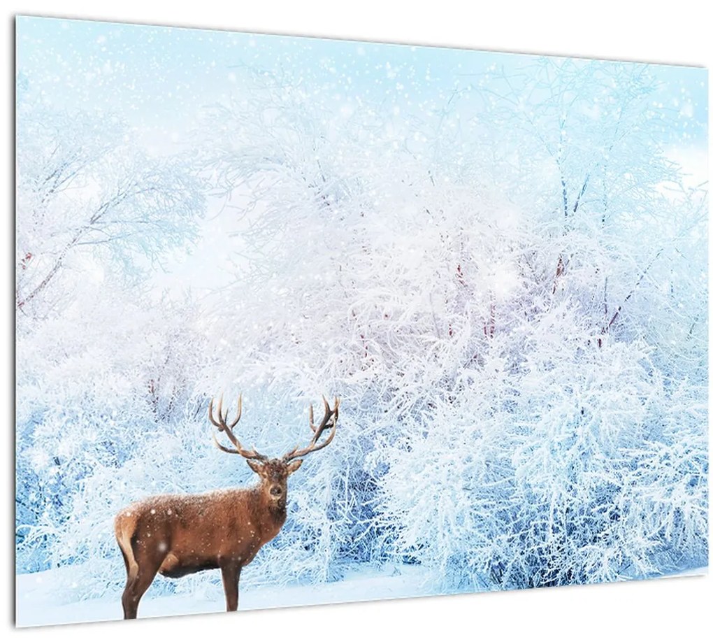 Sklenený obraz majestátneho jeleňa (70x50 cm)