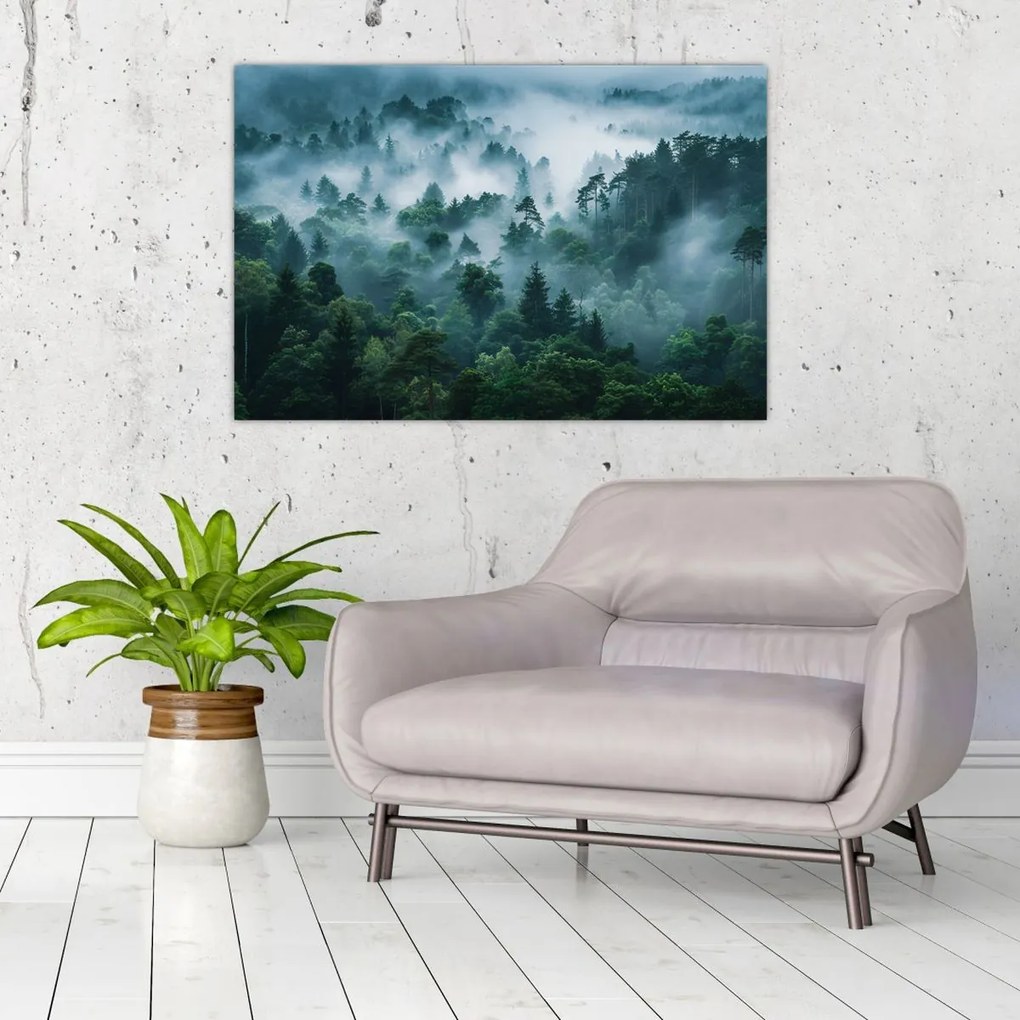 Obraz - Les v hmle (90x60 cm)