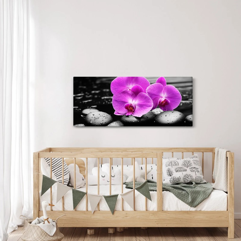 Obraz - Fialové orchidey (120x50 cm)