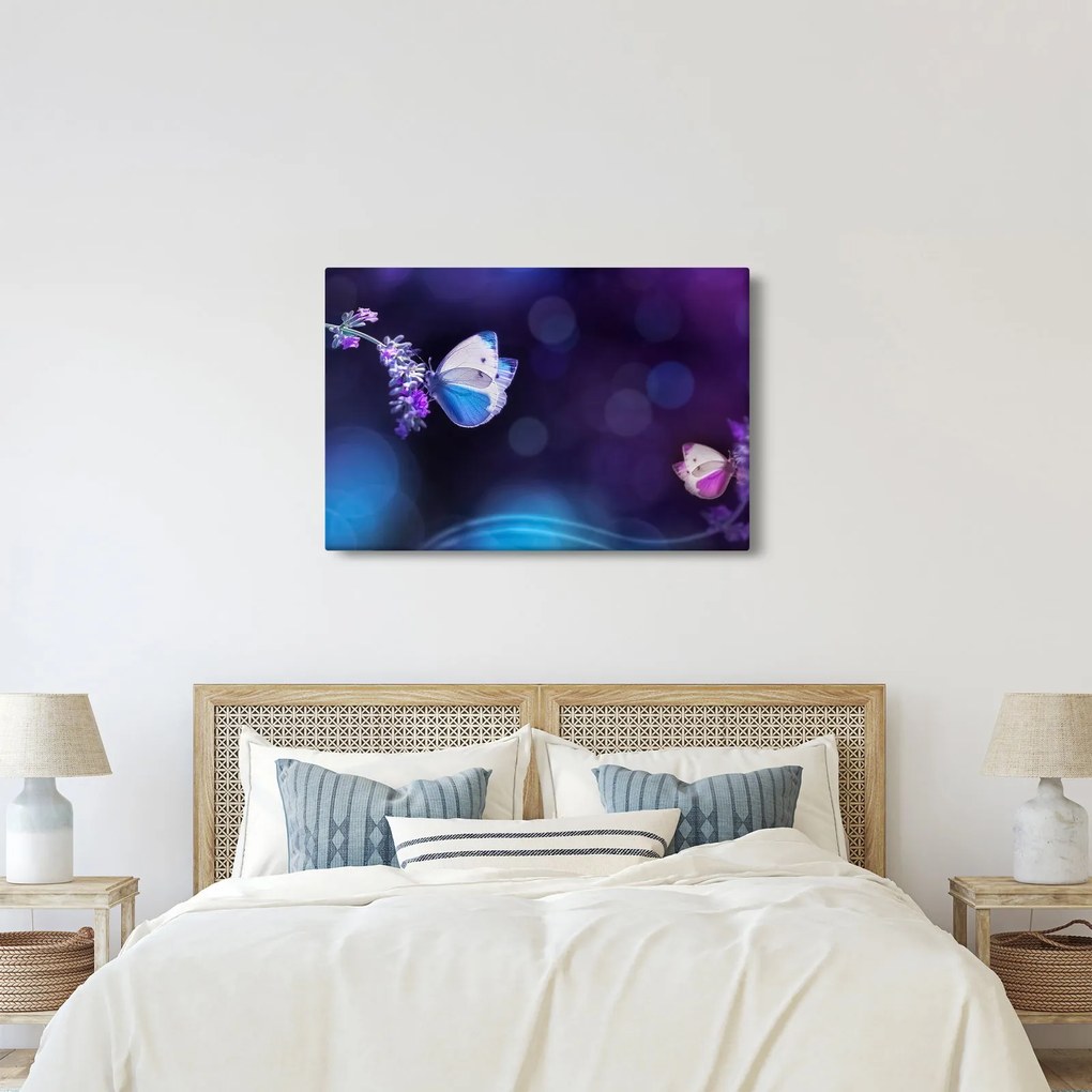 Obraz - Motýle na levanduli (90x60 cm)