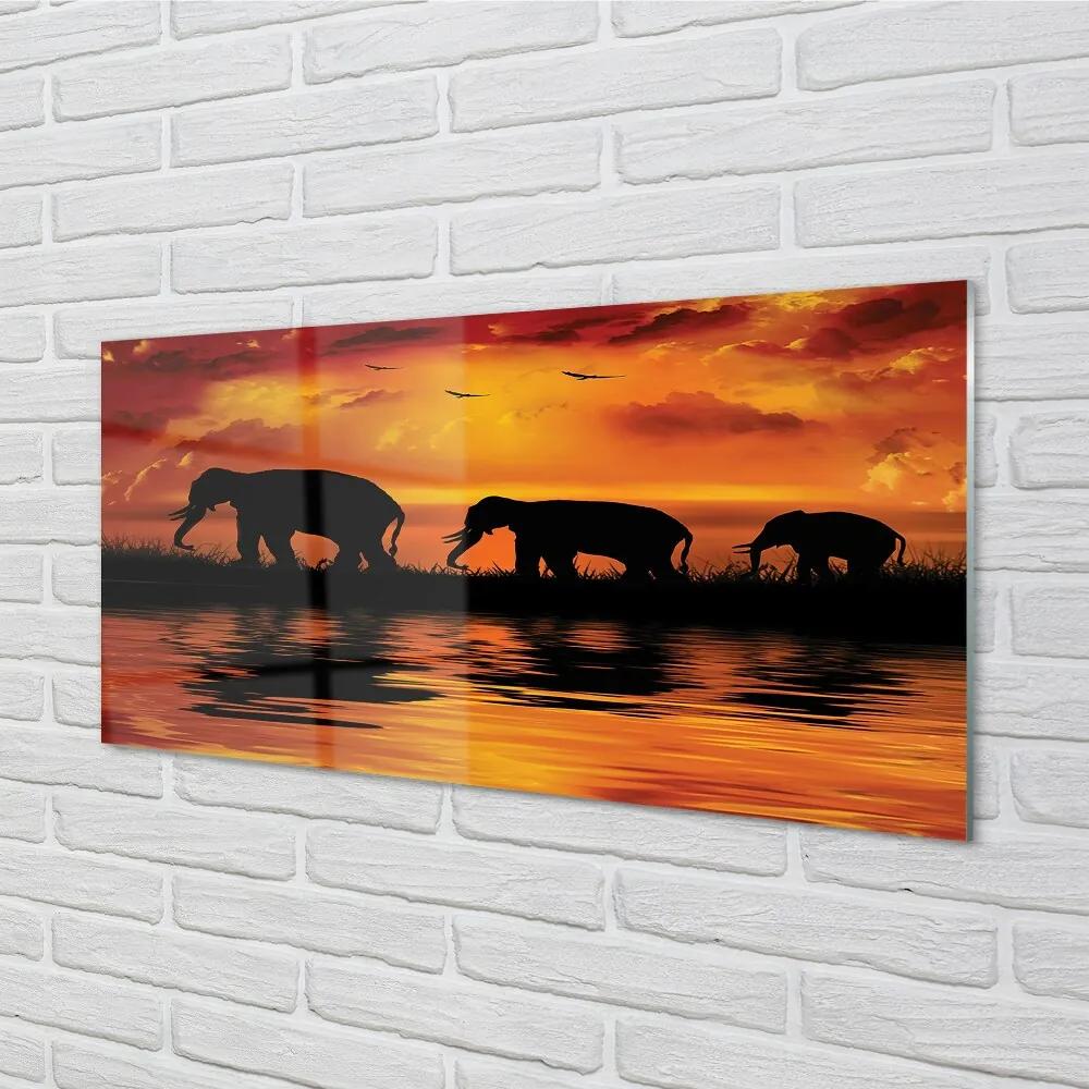 Obraz na skle slony West Lake 120x60 cm