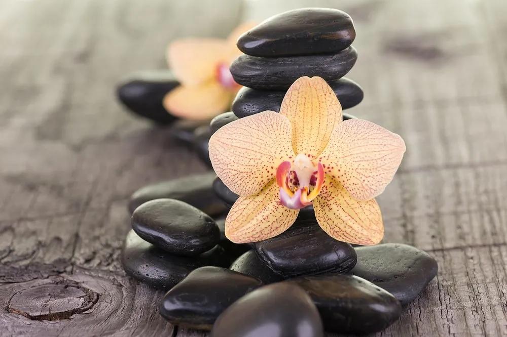 Samolepiaca fototapeta orchidea a Zen kamene - 150x100