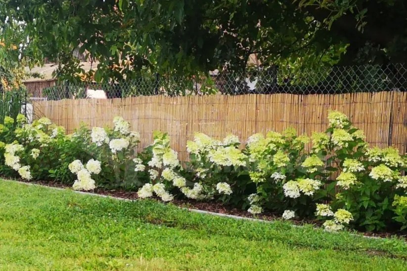 Bambusový plot 100 cm x 300 cm x 12 mm