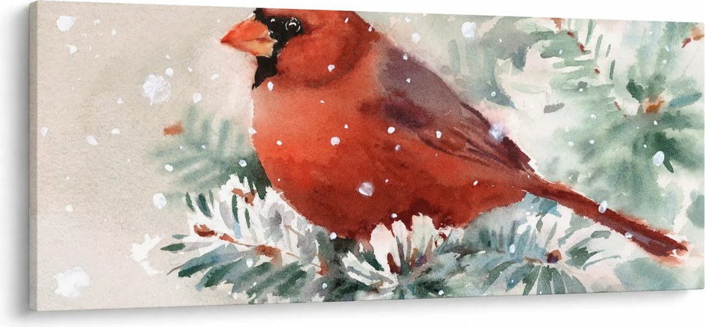 Obraz - Kardinál (120x50 cm)