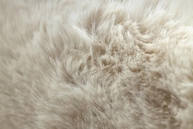 Koberec BUNNY slonia kosť kruh