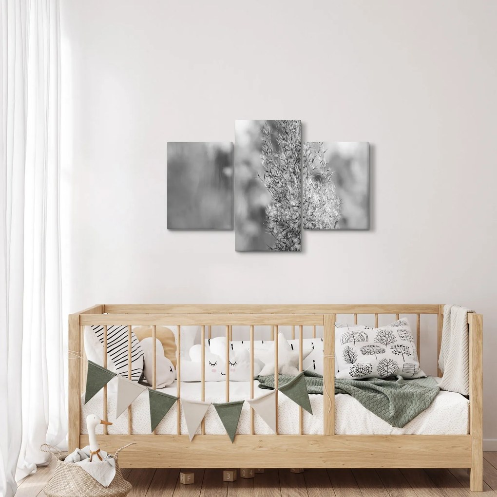 Obraz - Boho pampas grass (90x60 cm)