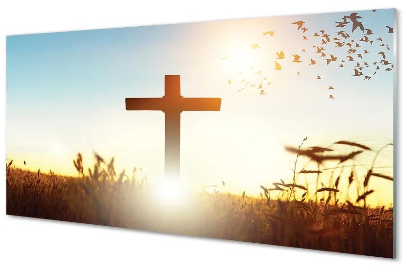 Obraz plexi Kríž pole slnka 125x50 cm