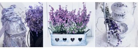 Obraz tlačený na plátne 50x150 PRC843