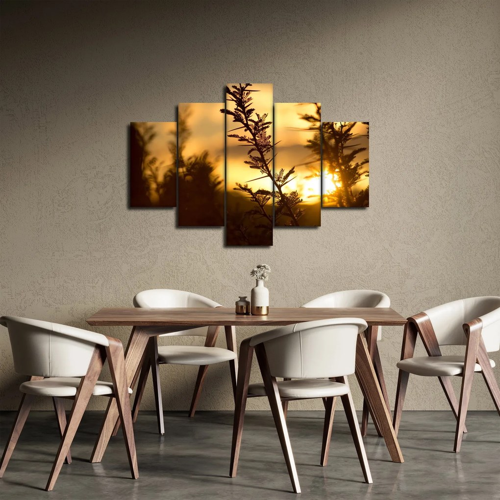 Obraz - Slnko zapadajúce za stromami (150x105 cm)