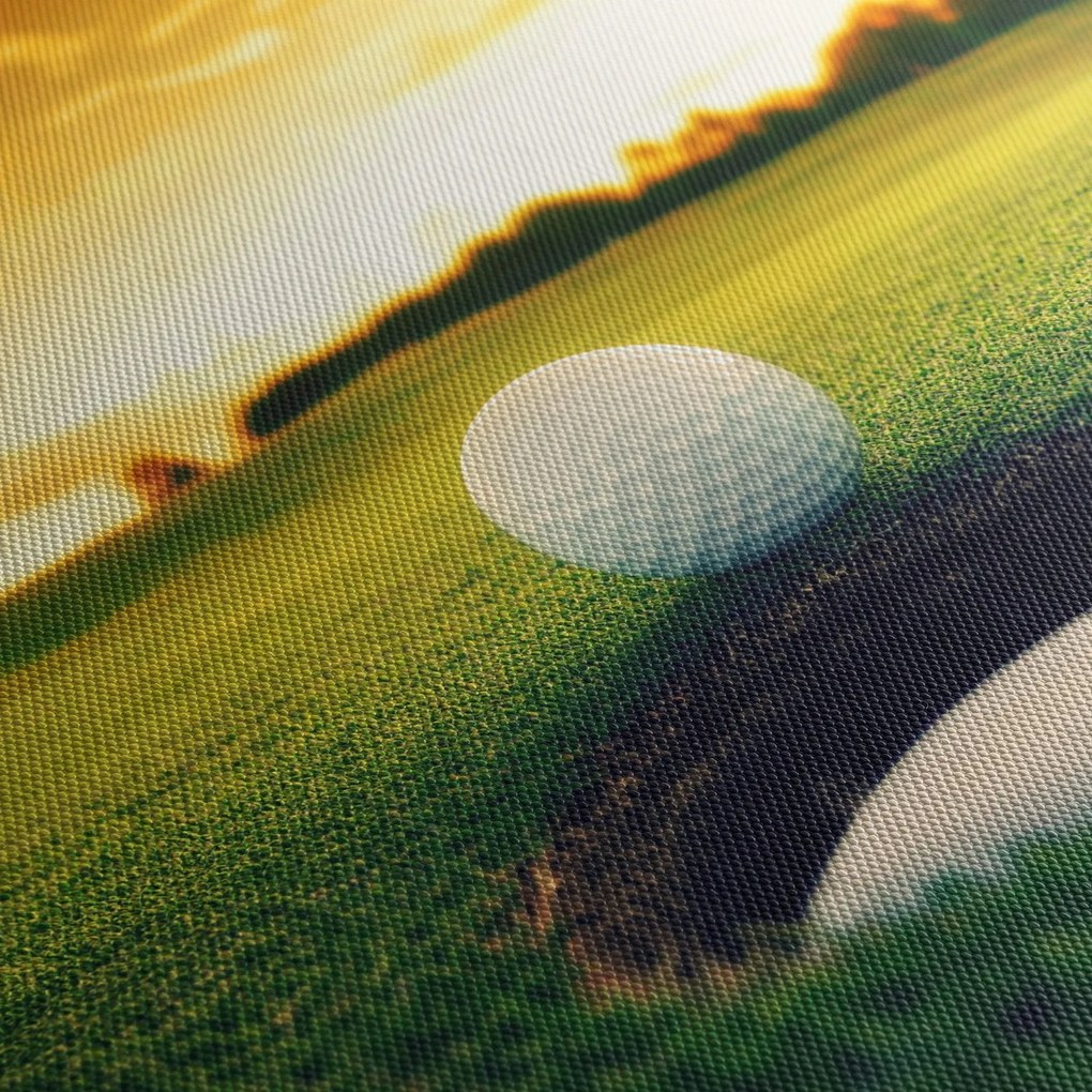 Obraz - Golf (90x60 cm)