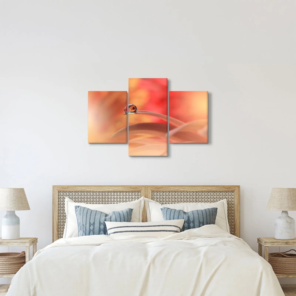 Obraz kvetinové kvapky rosy (90x60 cm)