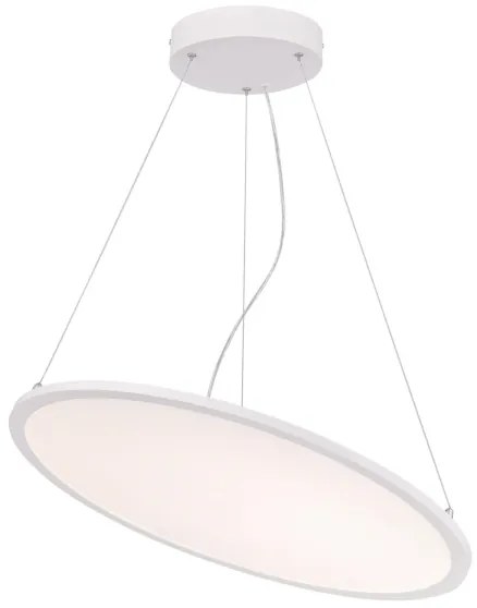 Westinghouse 65775 - LED Stmievateľný luster na lanku ATLER LED/40W/230V 60 cm
