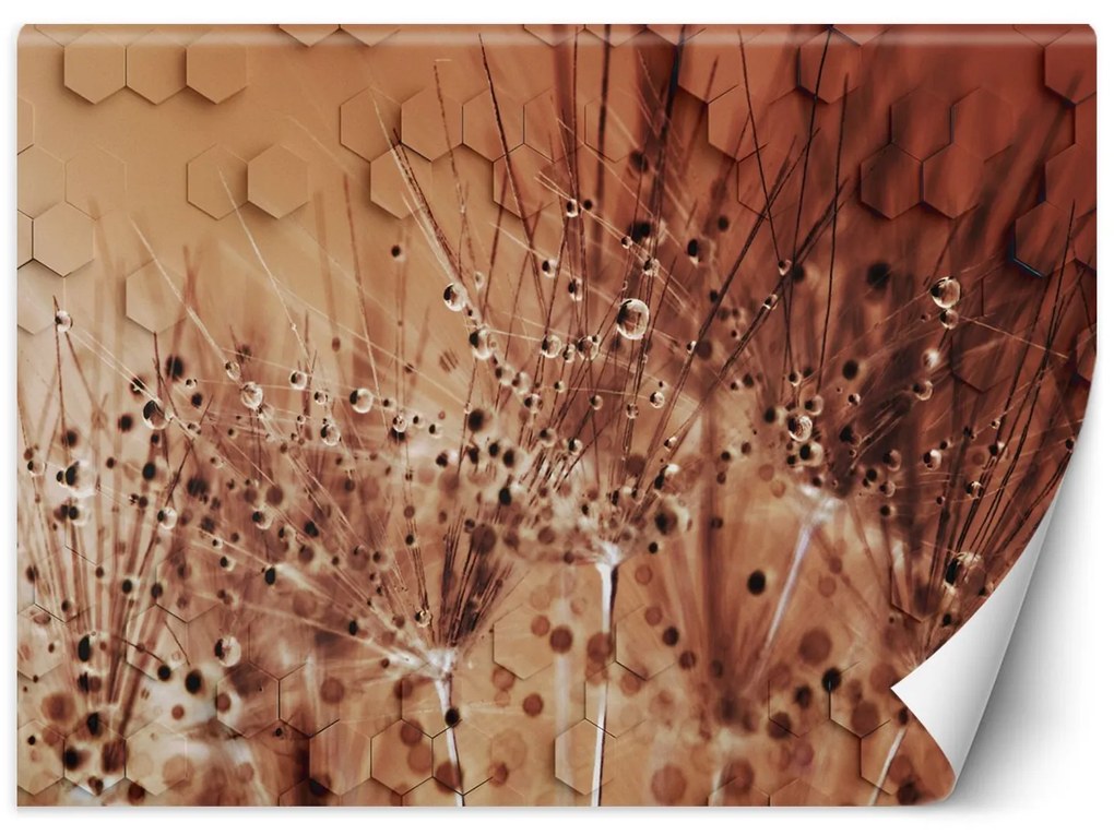 Gario Fototapeta Púpava v kvapkách rosy Materiál: Vliesová, Rozmery: 350 x 245 cm