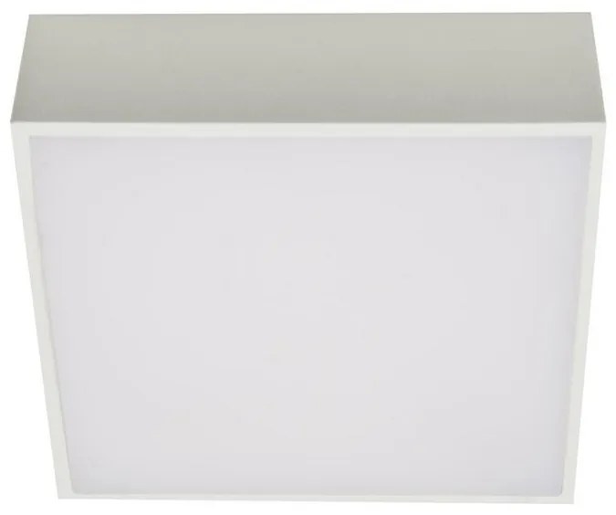 Azzardo AZ2781 - LED Stropné svietidlo FALCO LED/12W/230V