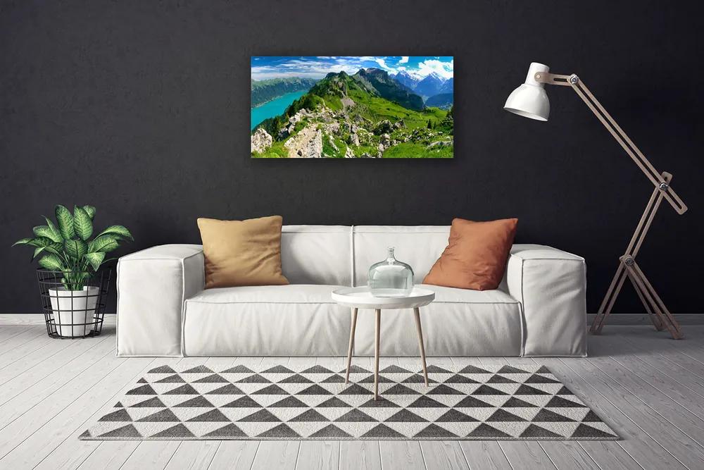 Obraz Canvas Lúka hory príroda príroda 120x60 cm