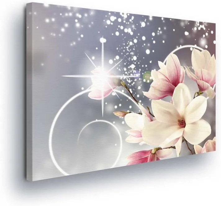 GLIX Obraz na plátne - Pink Flowers with Stars 100x75 cm