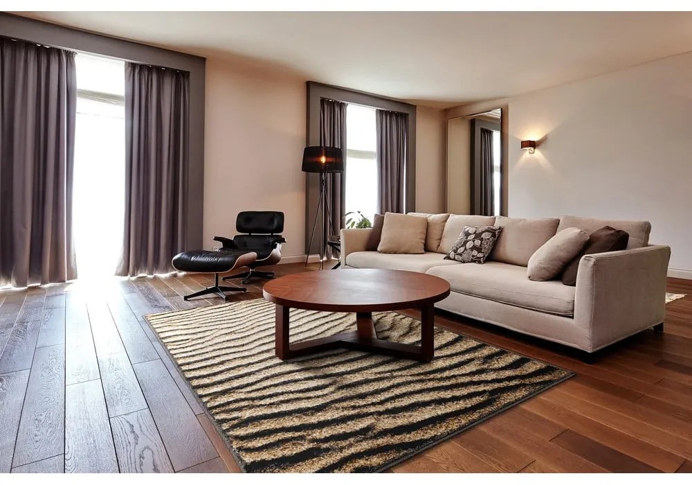 Hnedý koberec 160x220 cm Avanti – FD