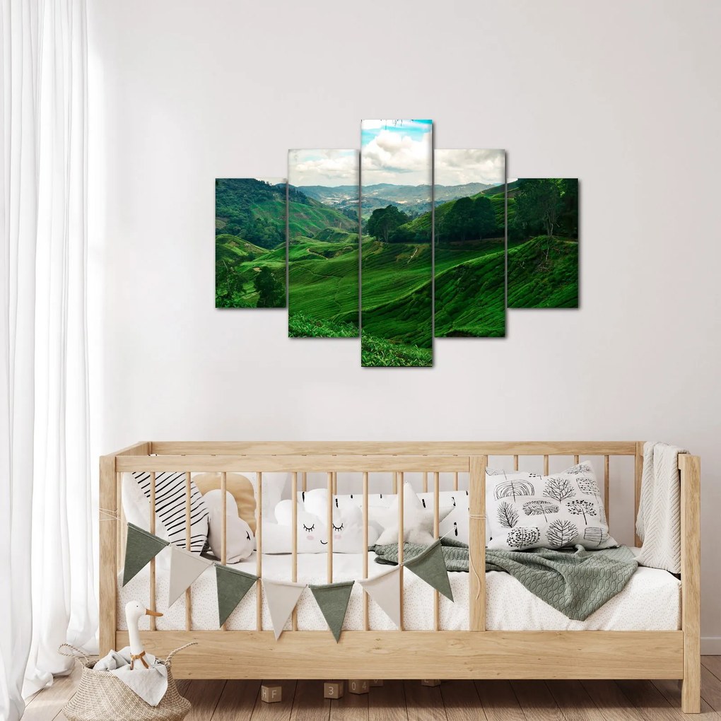 Obraz - Čajové plantáže v Malajzii (150x105 cm)