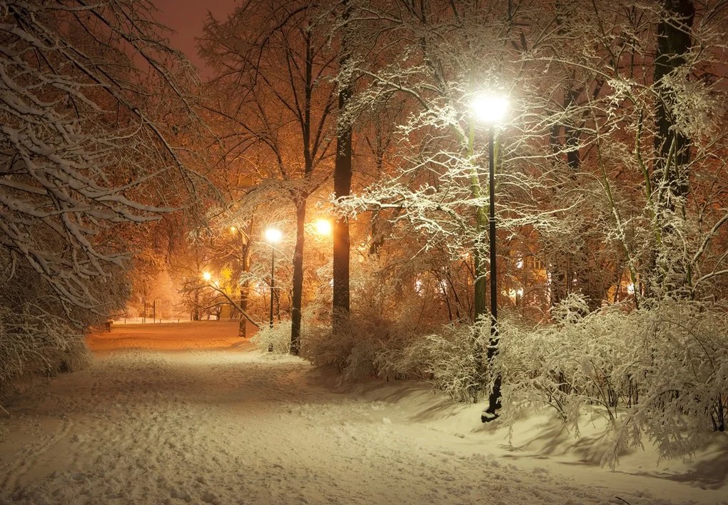 Fototapeta - Zasnežený park (147x102 cm)