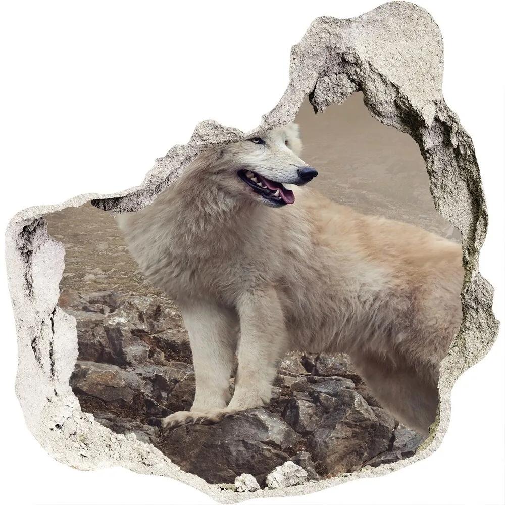 Diera 3D foto tapeta nálepka Biely vlk na skale nd-p-60381309