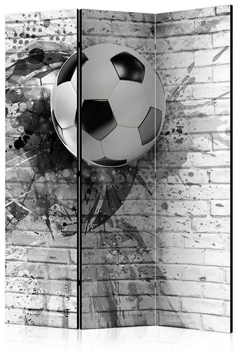 Paraván - Dynamic Football [Room Dividers] Veľkosť: 135x172, Verzia: Obojstranný