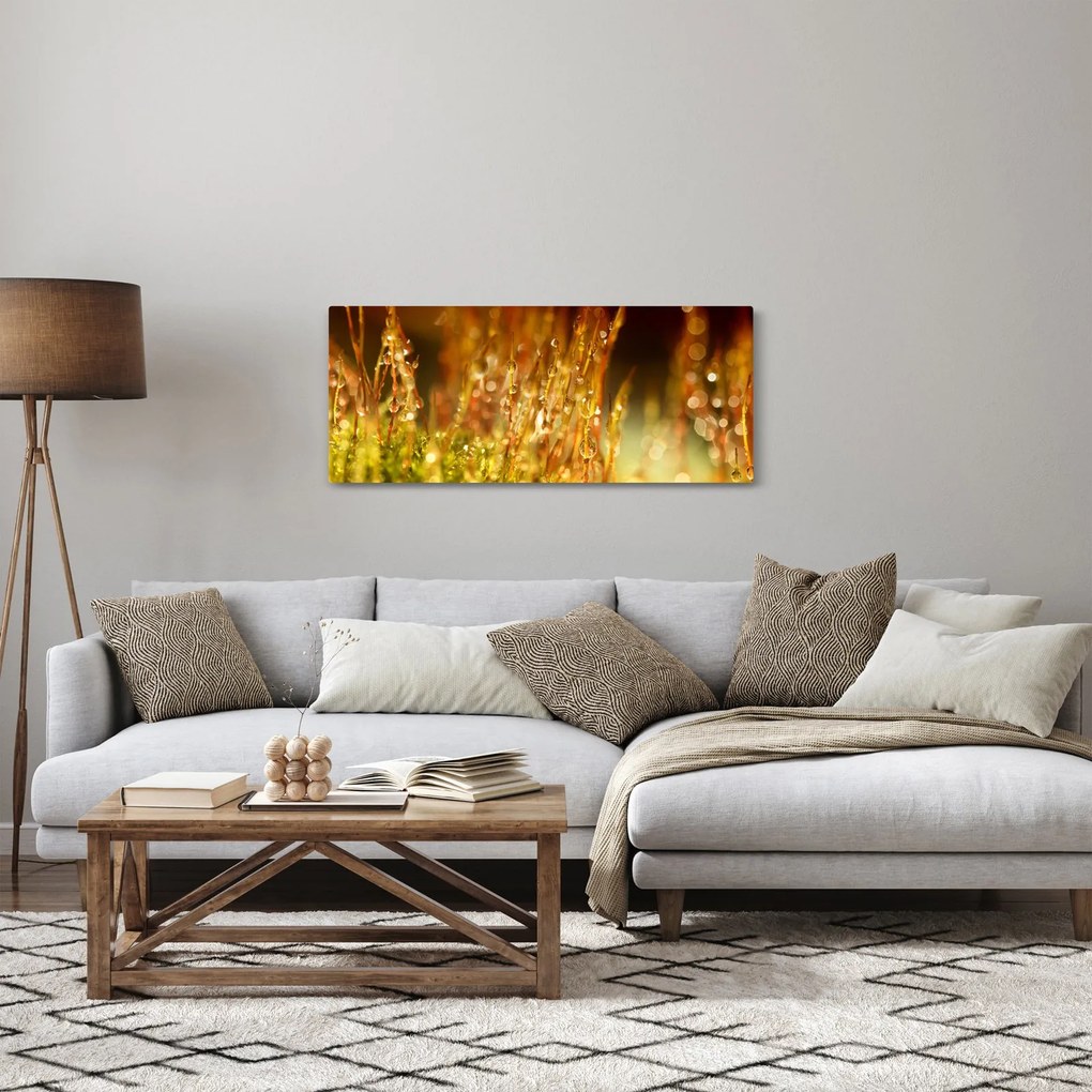 Obraz - Detail rosy (120x50 cm)
