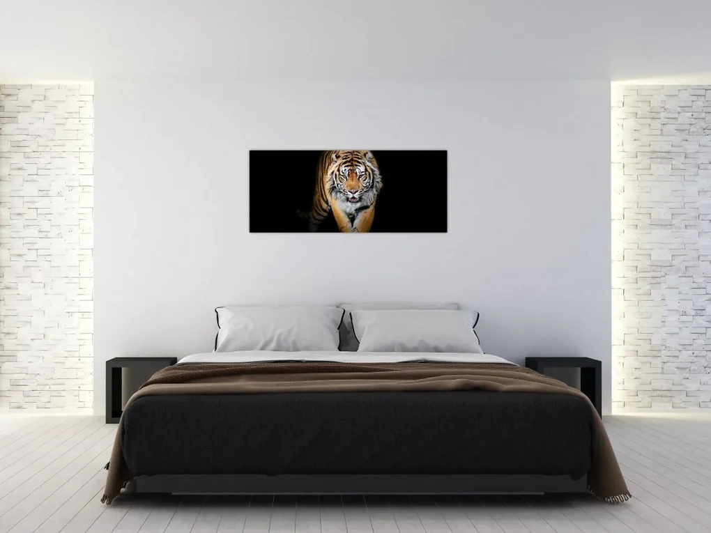 Obraz - Tiger (120x50 cm)