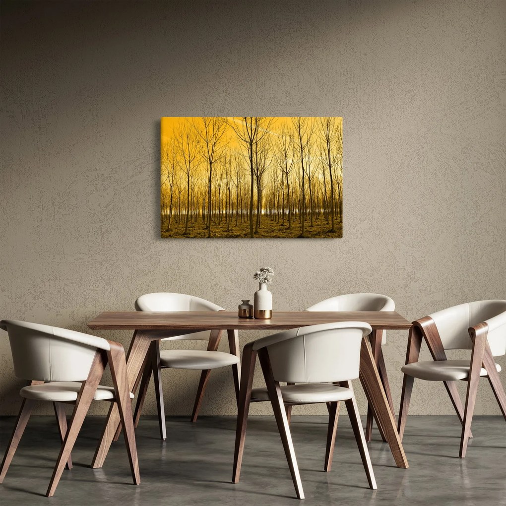 Obraz lesa pri západe slnka (90x60 cm)
