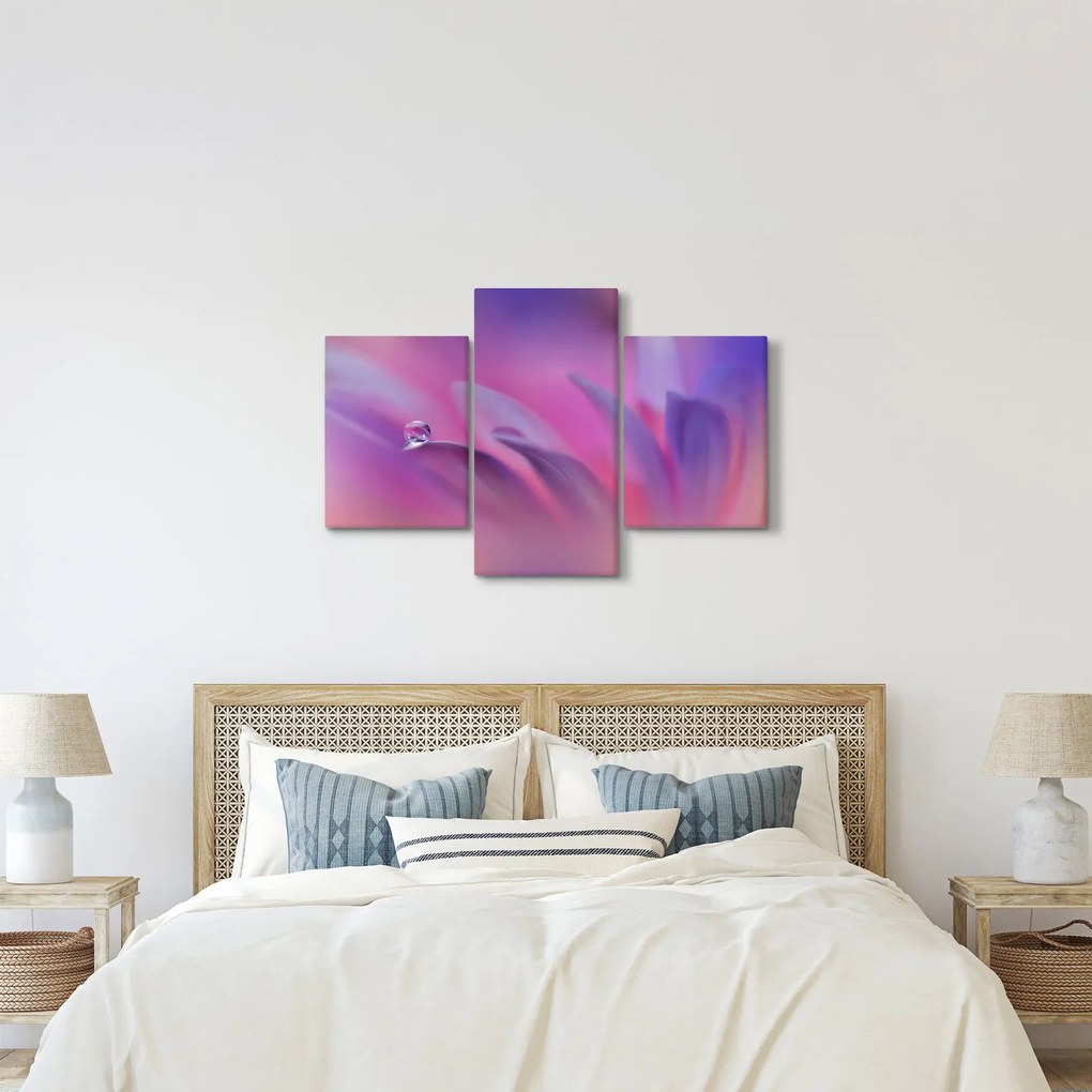 Obraz - Kvapka na kvete (90x60 cm)