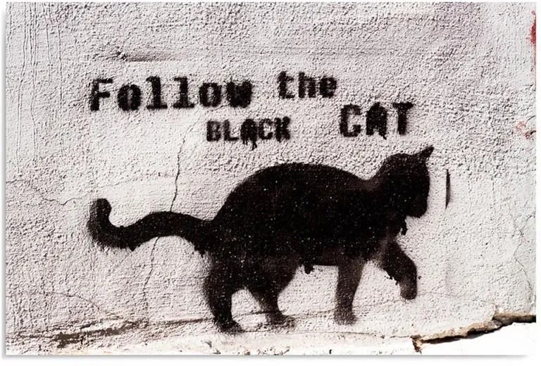 CARO Obraz na plátne - Black Cat 40x30 cm