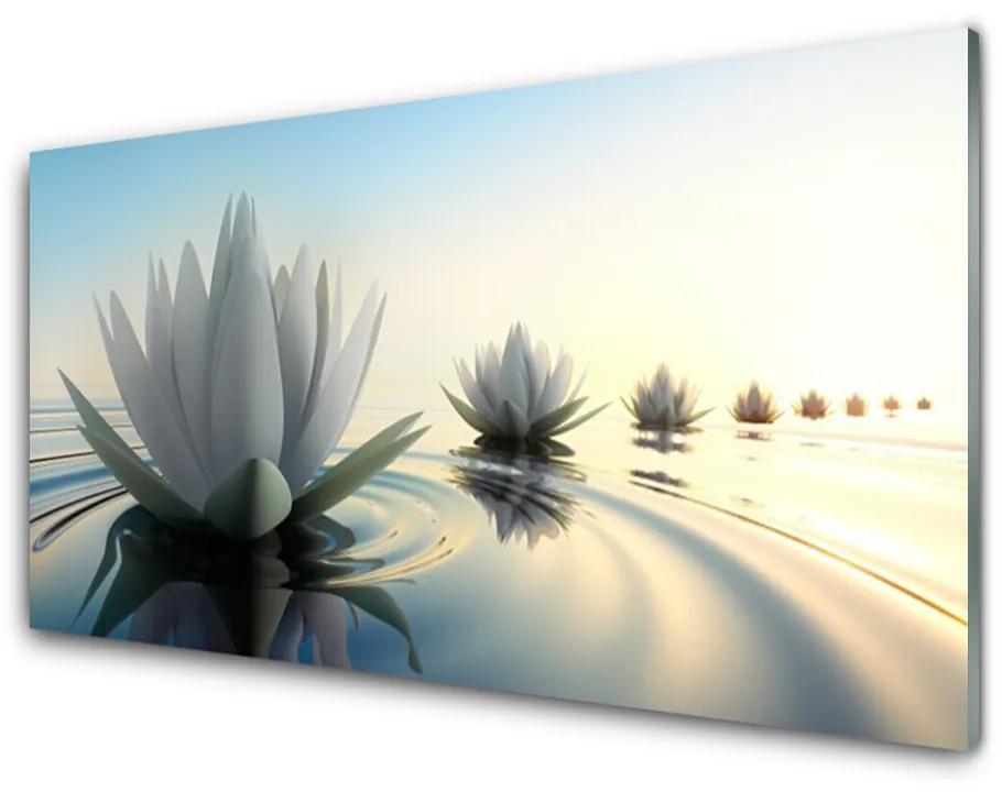 Skleneny obraz Vodné lilie kvety rybník 100x50cm