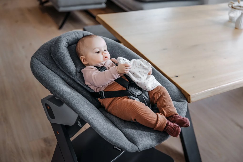 Hauck Prítulka CUDDLE N PLAY, fox cork