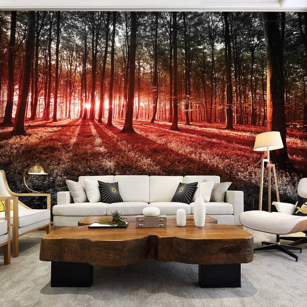Fototapeta - Les (152,5x104 cm)