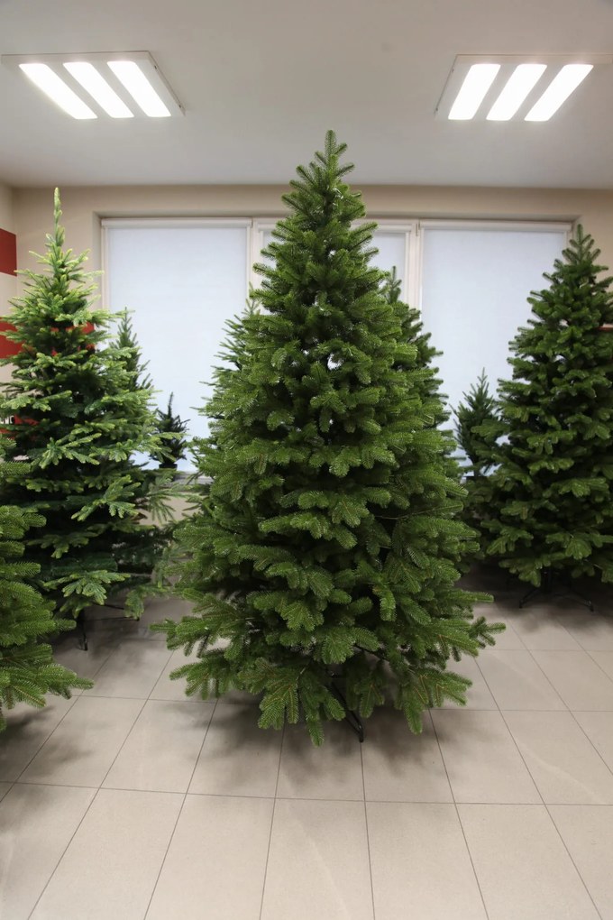 Borovica Limba 255cm- 100% 3D