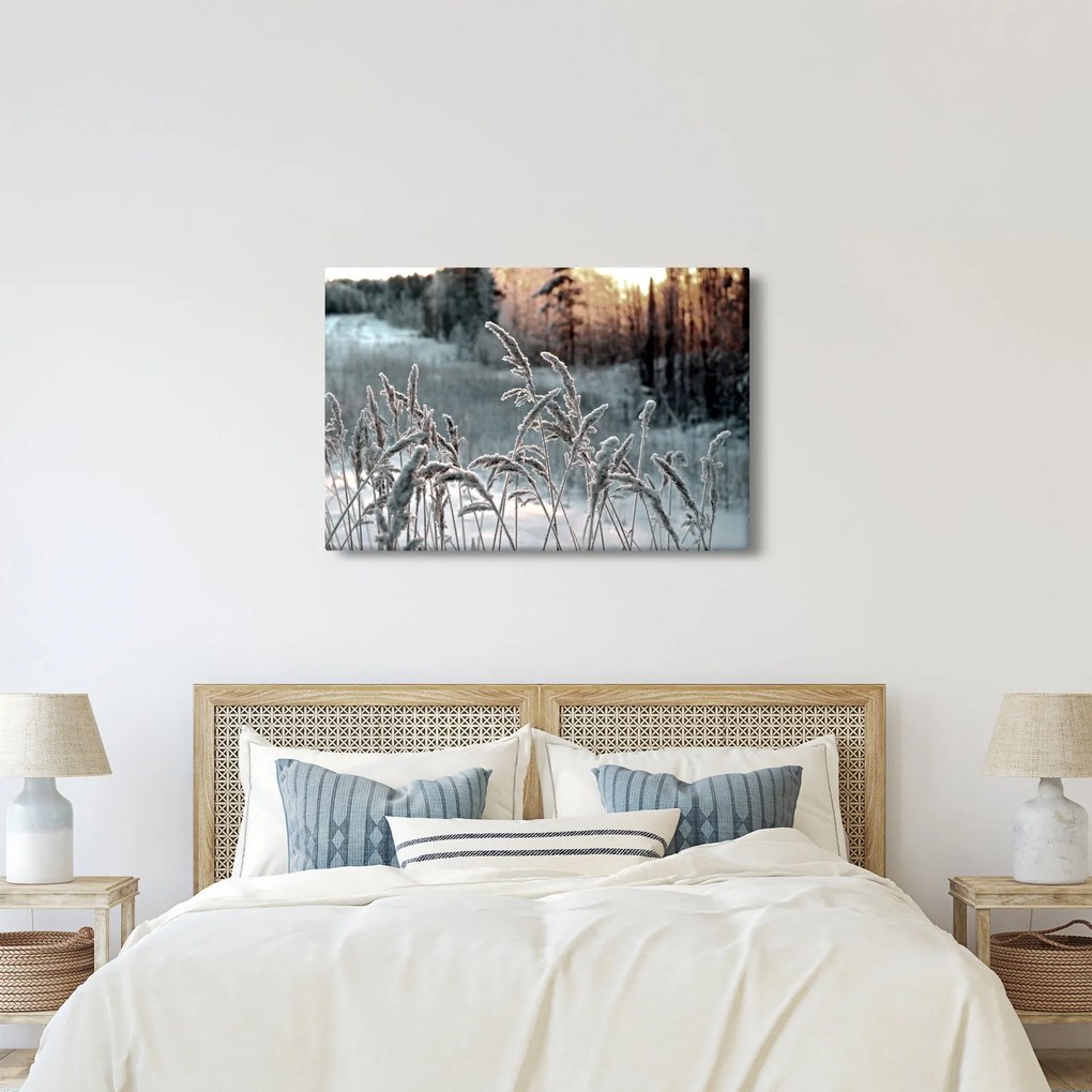 Obraz - Zamrznutá lúka (90x60 cm)