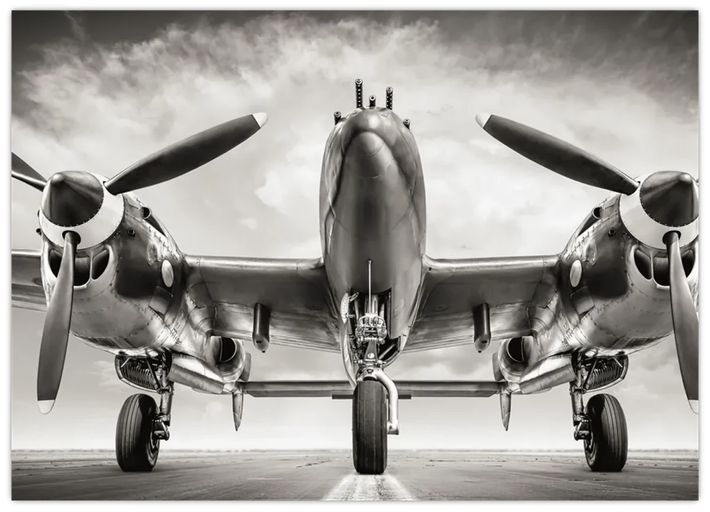 Obraz - Warbird (70x50 cm)