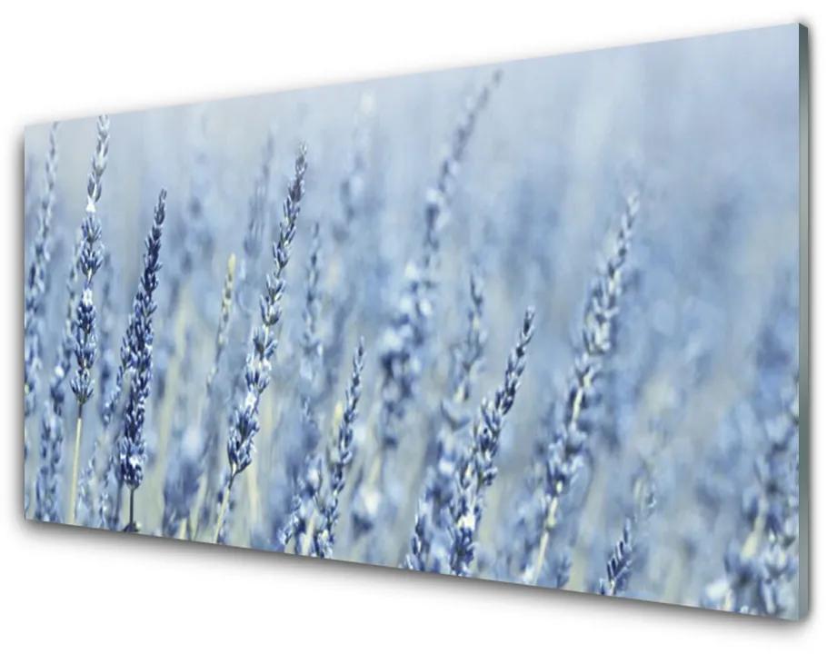 Obraz plexi Kvety klasy lúka príroda 125x50 cm