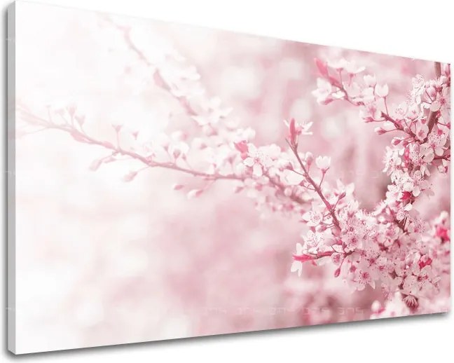 Obraz na stenu KVETY KV063E11 - 100x150 cm