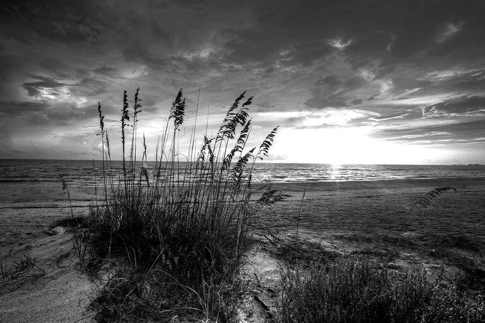 Fototapeta západ slnka na pláži v čiernobielom - 150x100