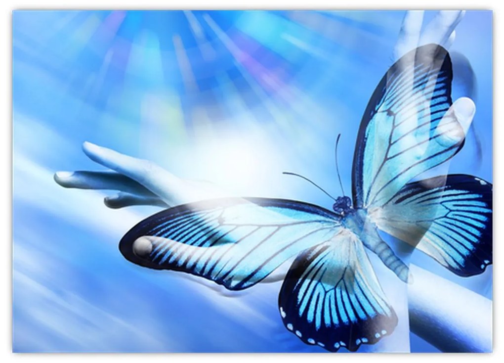 Sklenený obraz - Motýľ, symbol nádeje (70x50 cm)