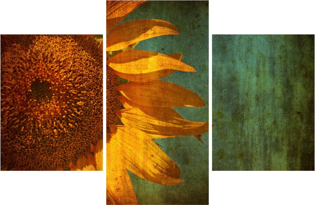 Obraz - Slnečnica (90x60 cm)