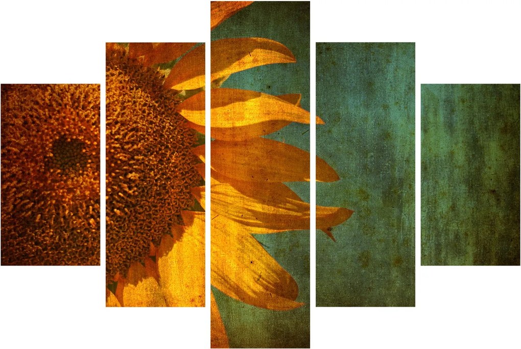 Obraz - Slnečnica (150x105 cm)