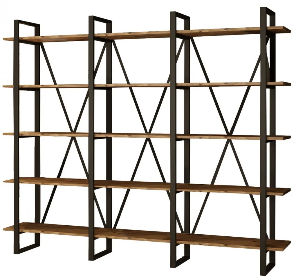 Knižnica Mony borovica atlantická