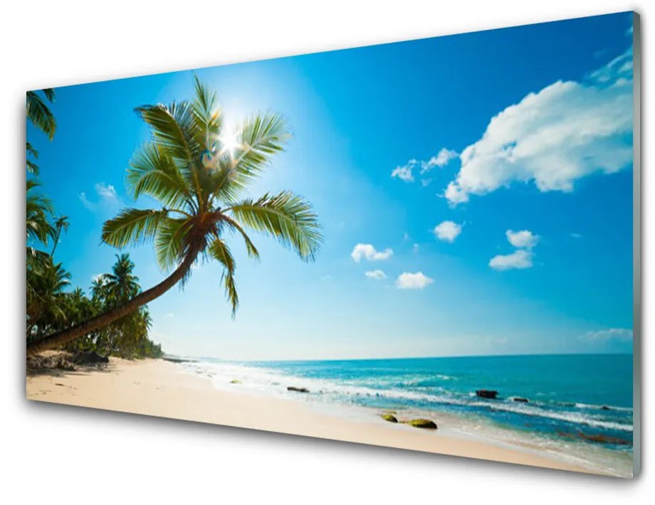 Obraz plexi Palma strom pláž krajina 100x50 cm