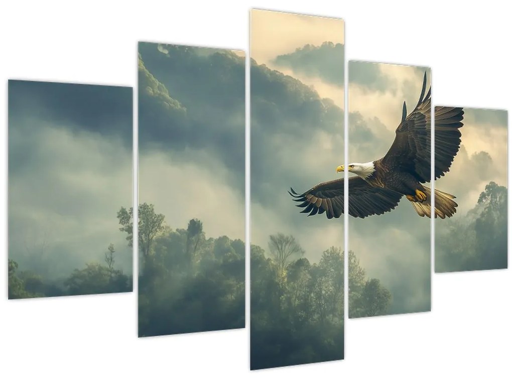 Obraz - Letiaci orol (150x105 cm)