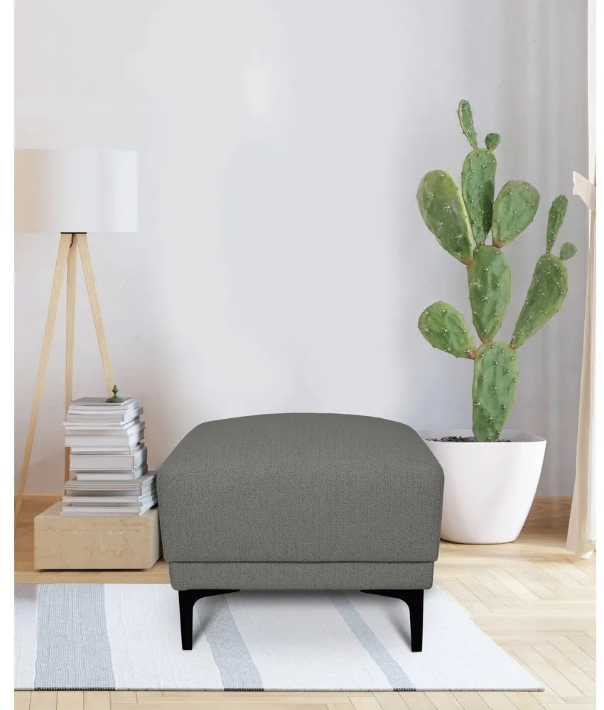 Sivá podnožka Chile – Scandic