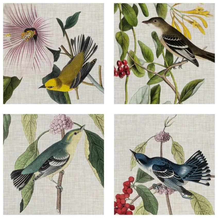 Manufakturer -  Štvordielny obraz Vtáky na bielizni II