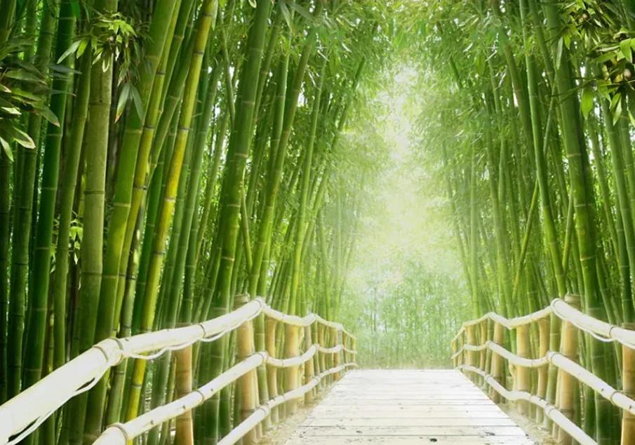 Manufakturer -  Tapeta Bamboo forest