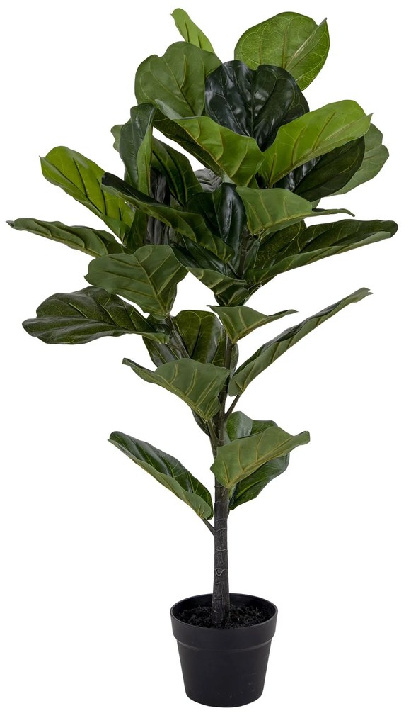 HOUSE NORDIC Dekoratívna rastlina Fiddle Leaf Tree 100 cm